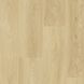 Cool Oak Classical