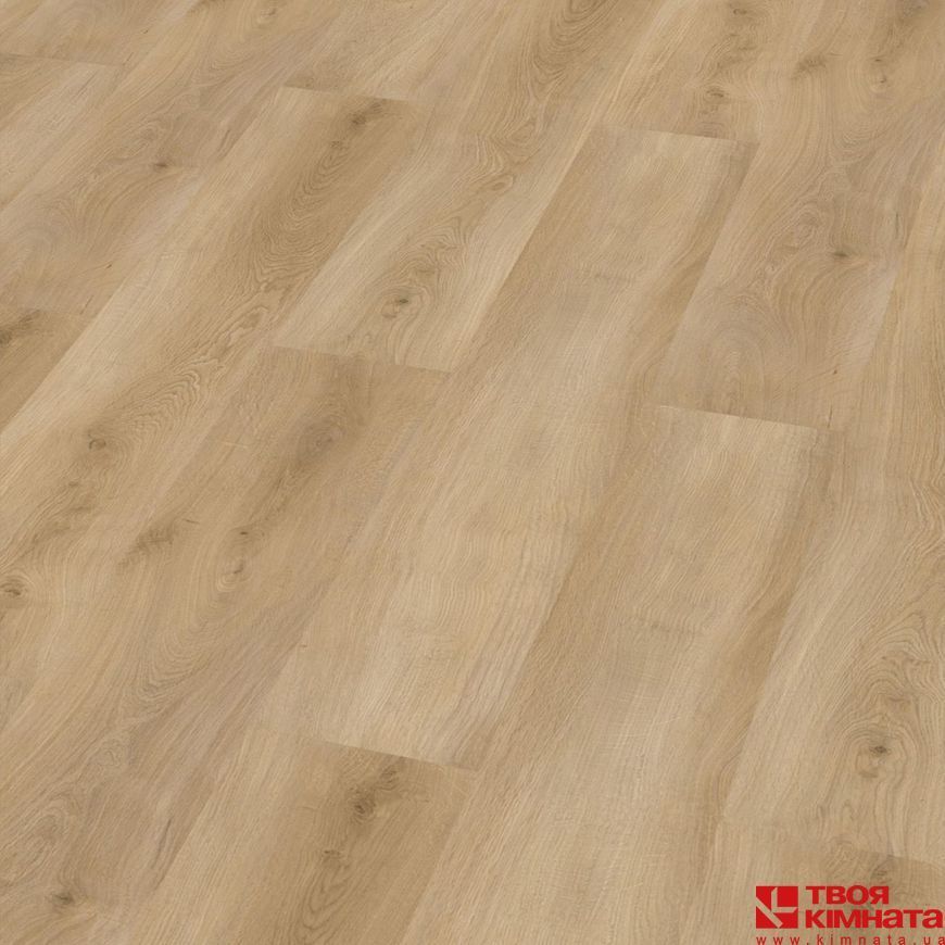 SPC Beechwood Oak | Виниловый пол Check