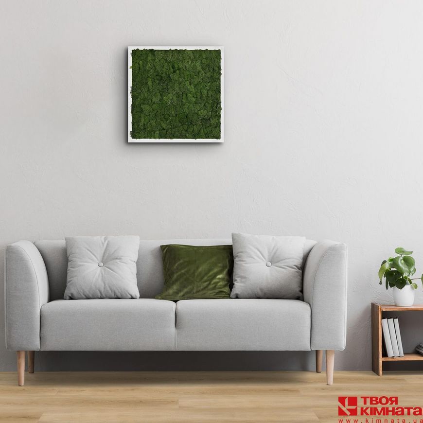 SPC Beechwood Oak | Виниловый пол Check