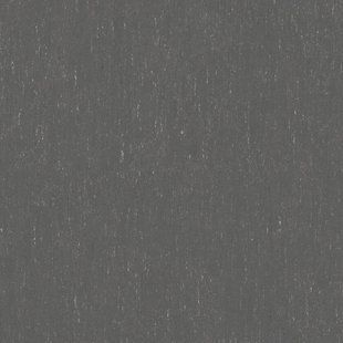 Натуральний лінолеум TRENTINO 2,5 XF2 GREY PEPPER 503 | Лінолеум Tarkett