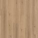 Highland Oak NOISETTE