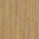 Bradford&nbsp;Oak&nbsp;Honey