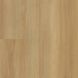 Bradford&nbsp;Oak&nbsp;Honey
