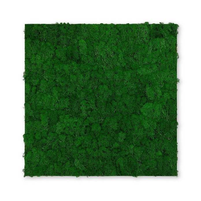 Стеновое панно Jangal Modular Wall 11100 Мох зеленый натур