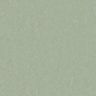 Натуральний лінолеум Tarkett Style Emme xf&sup2;&trade; PISTACHIO 758 | Лінолеум Tarkett