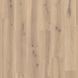 Forest Oak NUTMEG