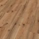 SPC Mombasa Oak