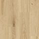 Primary Oak Lt Brown